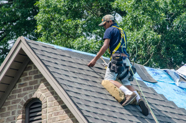 Best Best Roofing Contractors  in Houston, MS